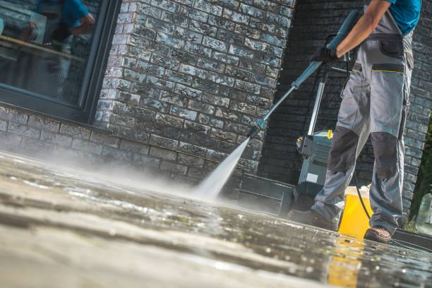 Animal Enclosure Cleaning in Oceanside, CA